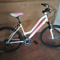 Mountain bike Lombardo