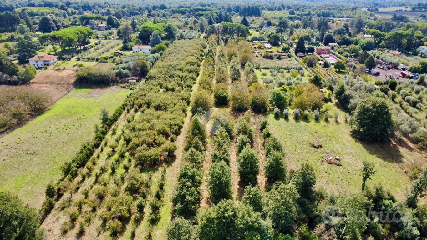 TER. AGRICOLO A MANZIANA - Vista 5