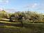 Immagine 21