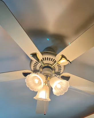 Ventilatore a soffitto, Perenz