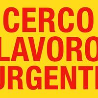 Cerc0 lavoro pomeriggio quasi tutto
