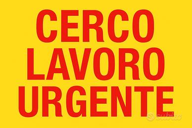Cerc0 lavoro pomeriggio quasi tutto