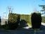 Immagine 5