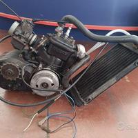 Motore completo Rotax per Aprilia ETX 125 PV