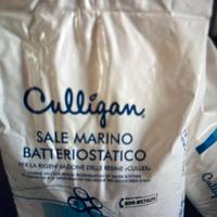 Sale per neve
