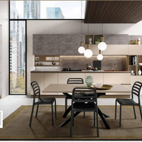 CUCINA LINEARE CON ELETTRODOMESTICI COLONNE+TAVOLO