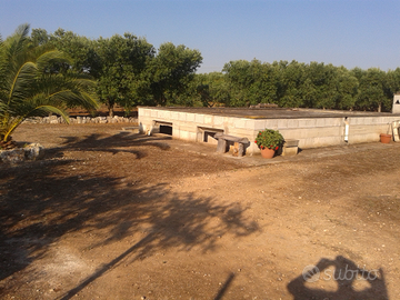 Carovigno/Santa Sabina: Terreno con Deposito