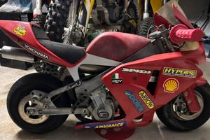 Minimoto polini liquido