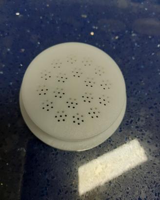 trafila capelli d'angelo per pastamaker philips