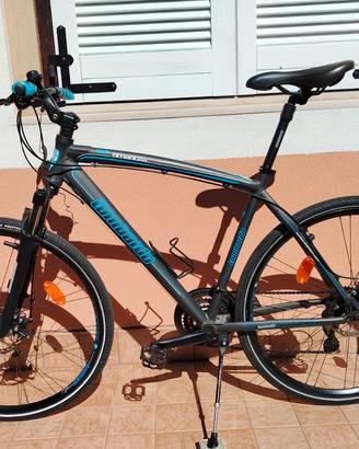Bicicletta MTB Lombardo Amantea 200