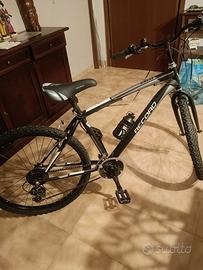 Bicicletta da ragazzo 26'