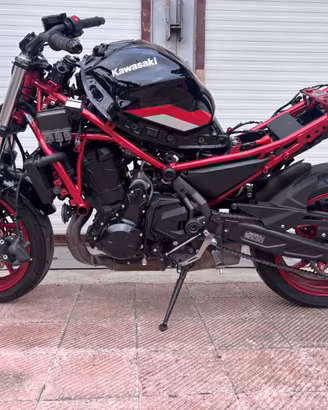 Ricambi Kawasaki Z650 2024 650 ABS – Motore Forcel