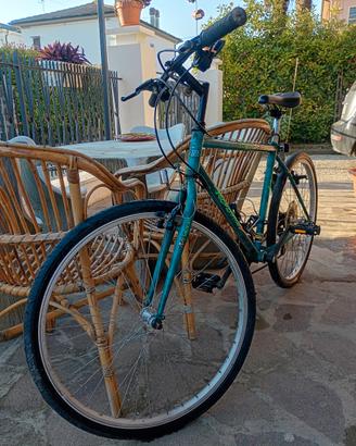 Mountain bike anni 90. € 85