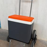 Carrelino frigo con route  - 30€