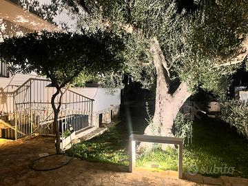 Lido verde di Torre Canne