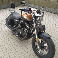 Harley Davidson 1200 custom