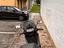 Immagine 4