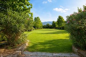 TERRENO AGRICOLO - 2.300 MQ CON POZZO