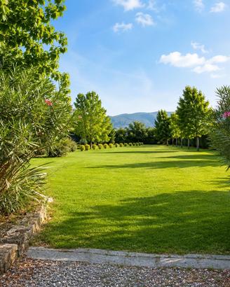TERRENO AGRICOLO - 2.300 MQ CON POZZO