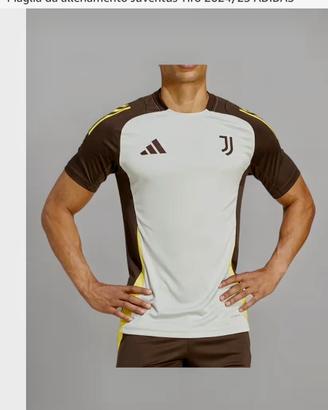 Maglia ufficiale allenamneto juventus 2024/25