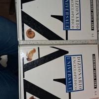 Dizionario enciclopedico universale