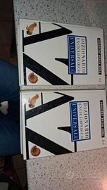 Dizionario enciclopedico universale