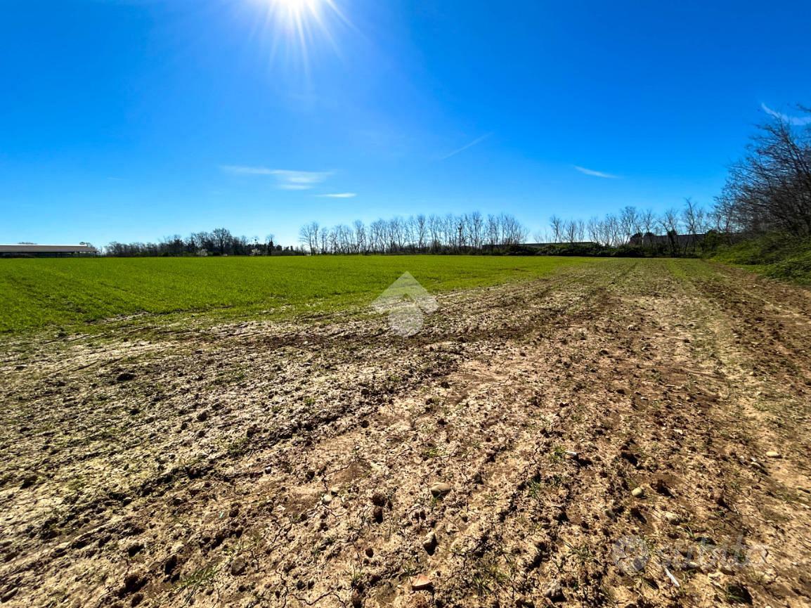 TER. AGRICOLO A BELLUSCO - Vista 2