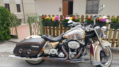 Harley - Road King a Nettuno