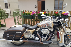 Harley - Road King a Nettuno