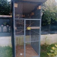 voliera da esterno 