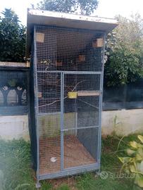 voliera da esterno 