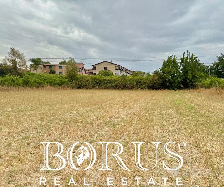 Terreno agricolo di 4015 mq zona Casignano BR254 - Vista 2