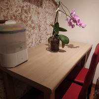 tavolo cucina 70x120 legno massiccio allungabile 