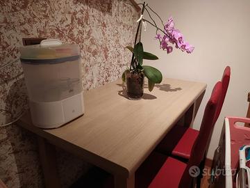 tavolo cucina 70x120 legno massiccio allungabile 