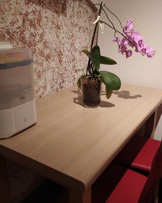 tavolo cucina 70x120 legno massiccio allungabile 