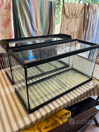 Acquario 90-100 litri