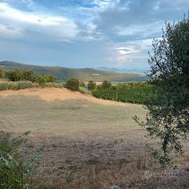 Terreni