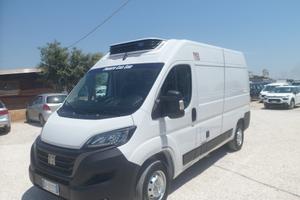 Fiat Ducato furgone medio alto frigo coibentato
