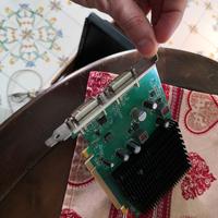 Scheda Video Nvidia Geforce Silent