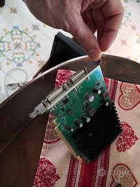 Scheda Video Nvidia Geforce Silent