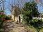 Immagine 21