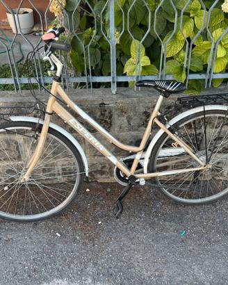 Bicicletta