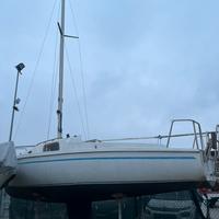 Barca vela