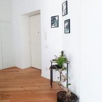 tavolino ingresso