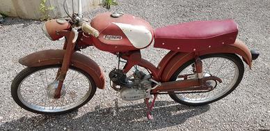 Legnano 50 T115