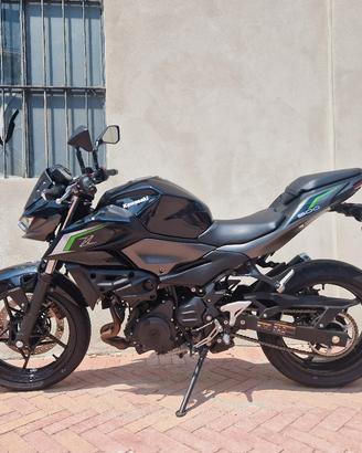 Kawasaki Z500   2025