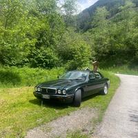 JAGUAR XJ8 v8 4.0 Racing Green ASI!!!