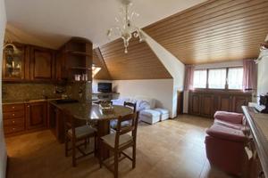 Appartamento di 100 m² con 4 locali a Auronzo di C