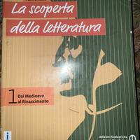 La scoperta della letteratura