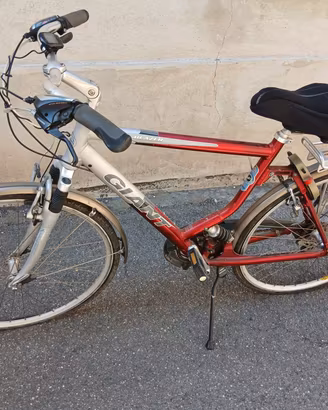 City bike da uomo 